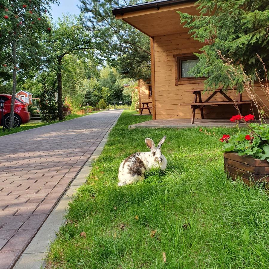Hotel Ow Gabi Mrzeżyno Exteriér fotografie